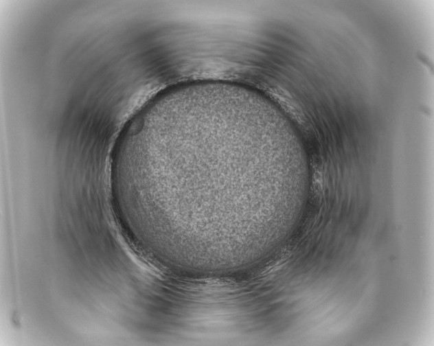 X0000098140678200805081021