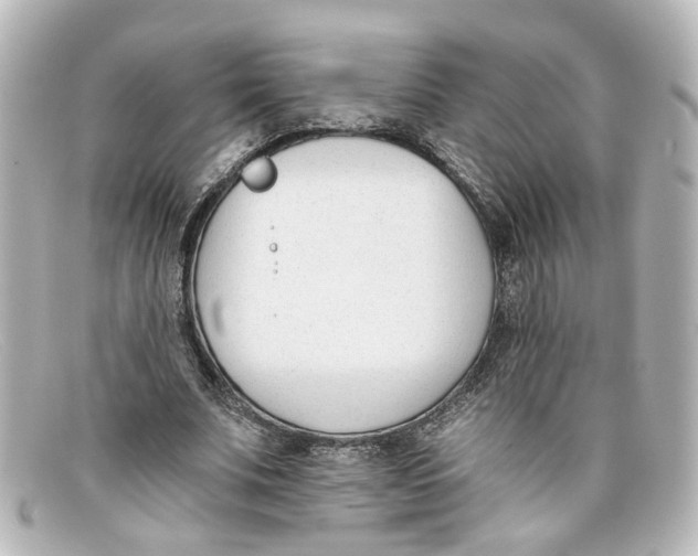 X0000098140679200805081020