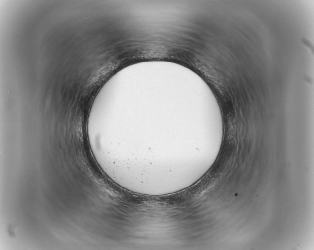 X0000098140681200805081020