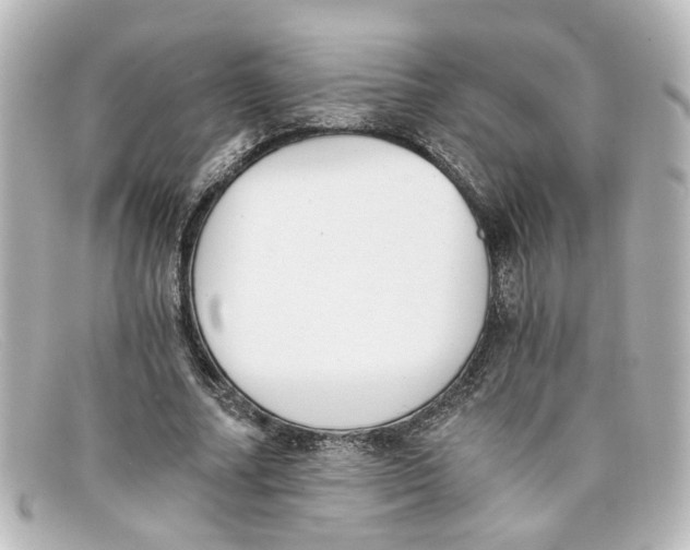 X0000098140682200805081020