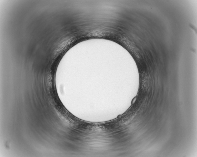 X0000098140683200805081020