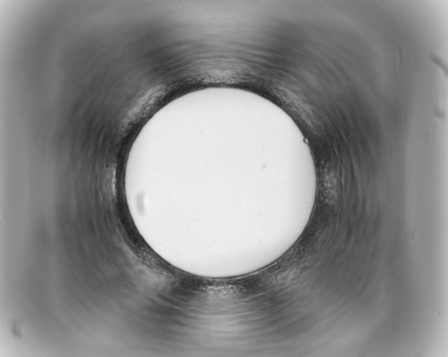 X0000098140686200805081020