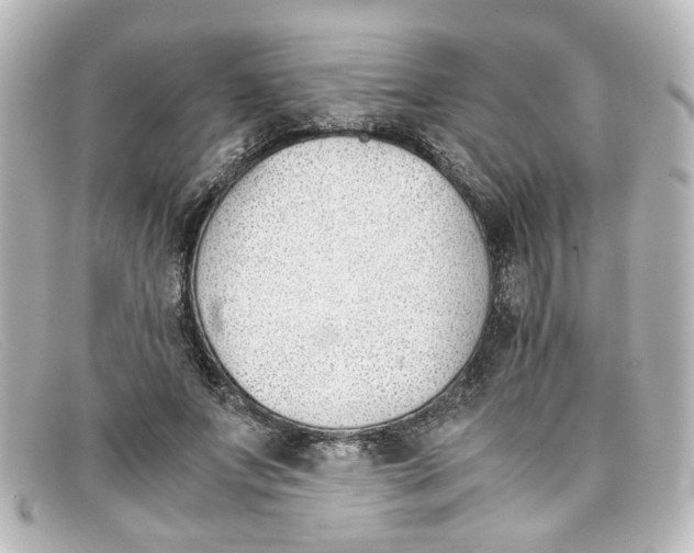 X0000098140687200805081020