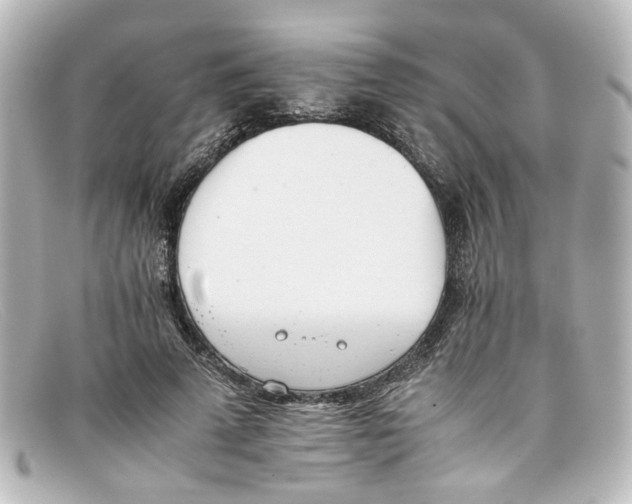 X0000098140689200805081020