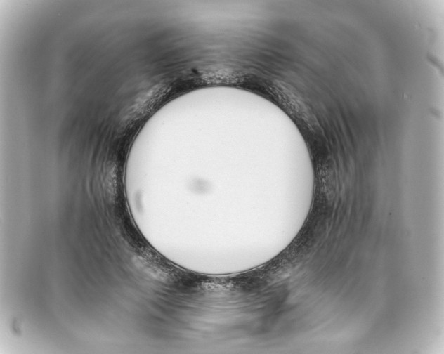 X0000098140690200805081020