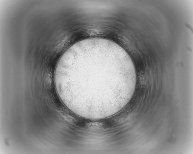 X0000098140691200805081020