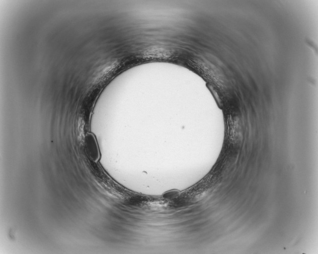 X0000098140692200805081020