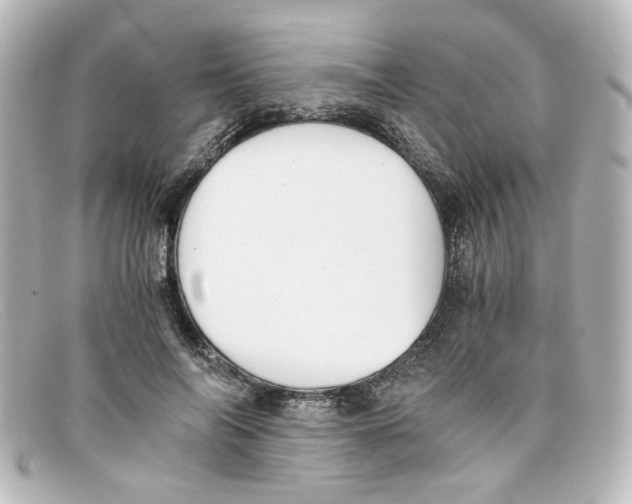 X0000098140694200805081020