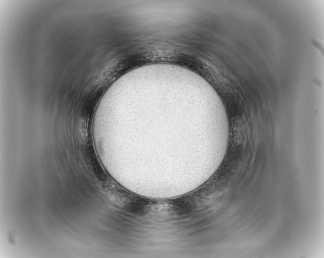 X0000098140695200805081020