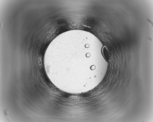 X0000098140699200805081020