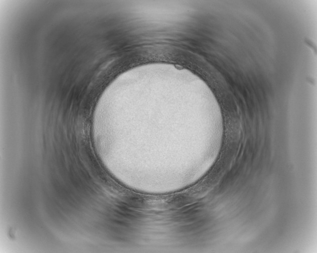 X0000098140701200805081020