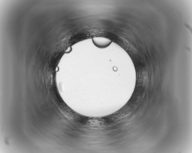 X0000098140703200805081020