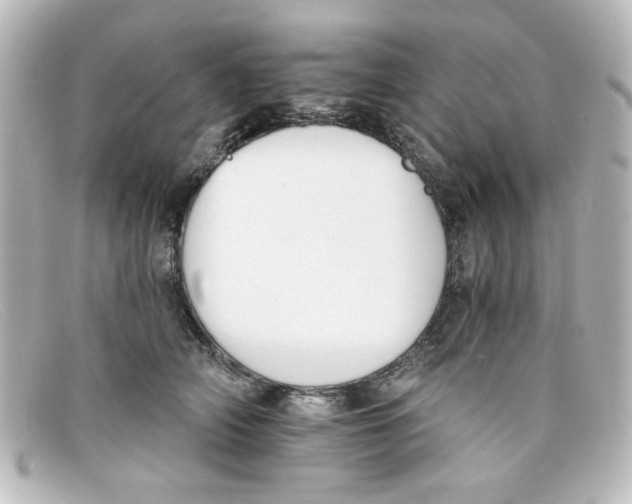 X0000098140706200805081020