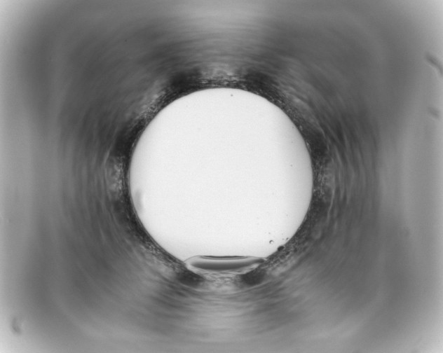 X0000098140708200805081020