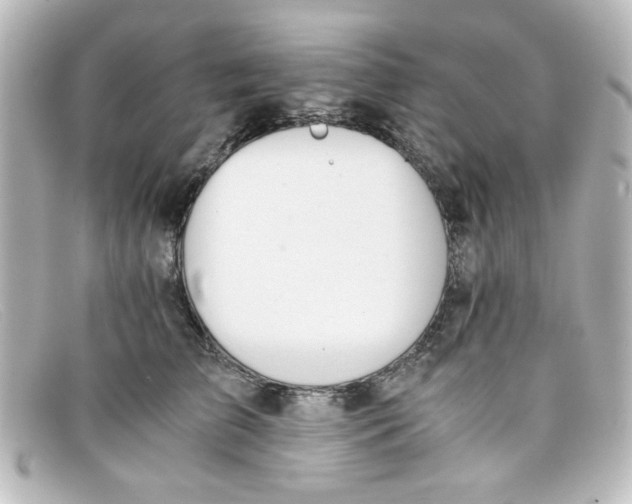 X0000098140709200805081020