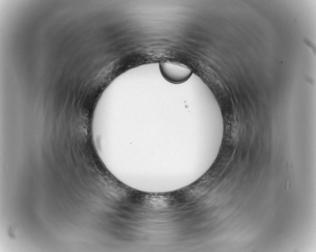 X0000098140710200805081020