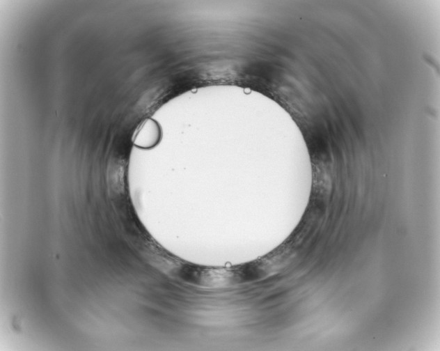 X0000098140717200805081020