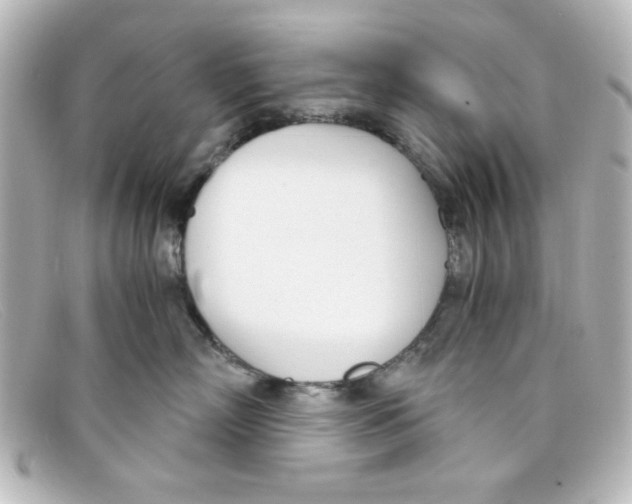 X0000098140718200805081020