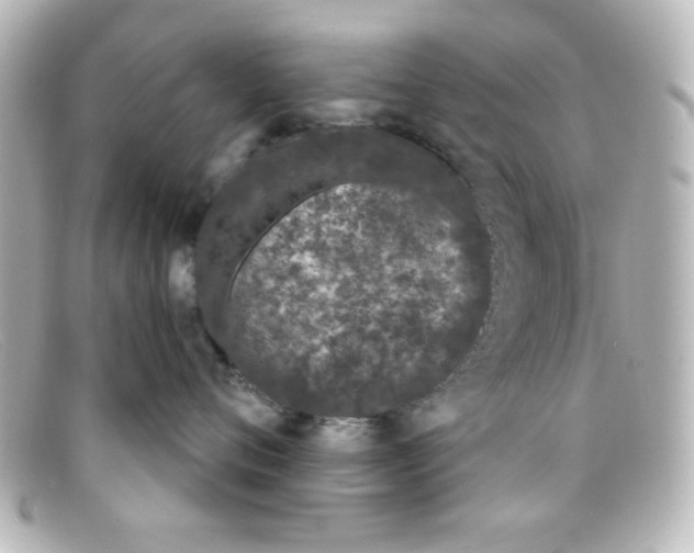 X0000098140720200805081020