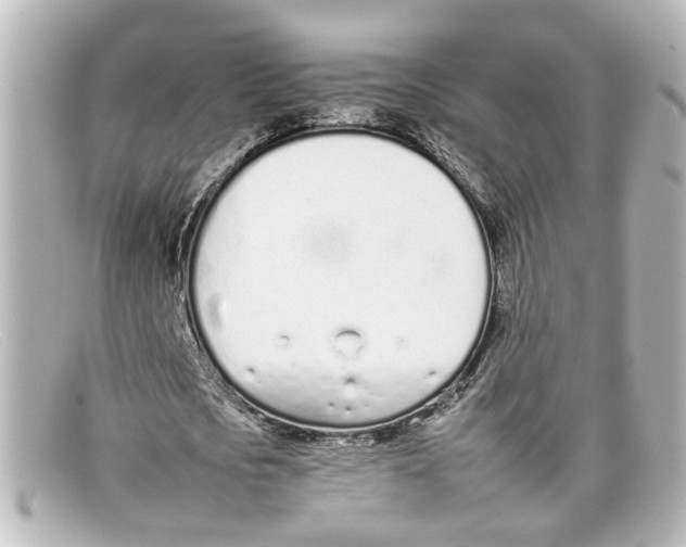 X0000098140721200805081019