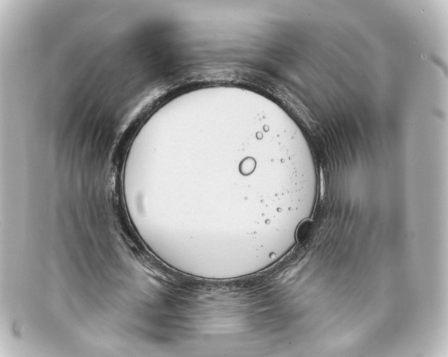 X0000098140723200805081019