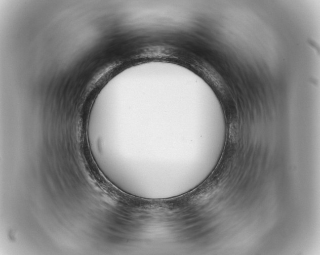 X0000098140724200805081019