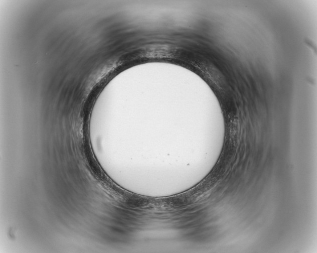 X0000098140727200805081019