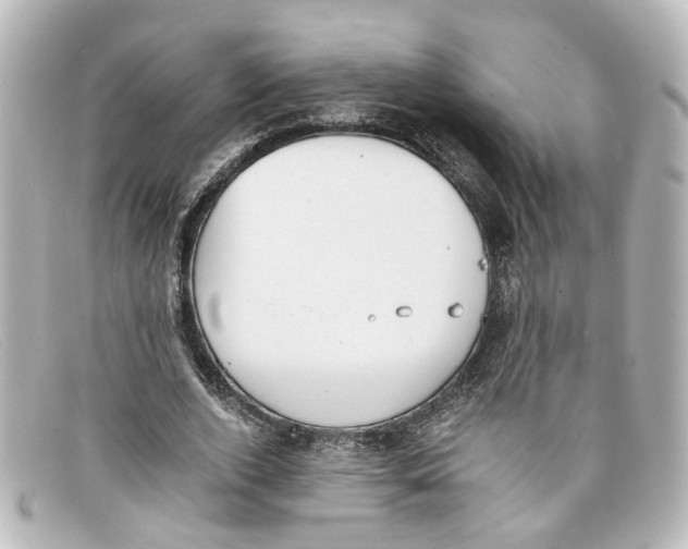 X0000098140728200805081019