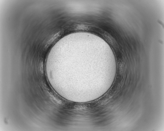 X0000098140729200805081019