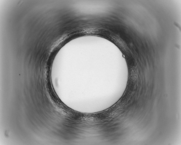 X0000098140730200805081019