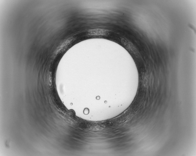 X0000098140731200805081019