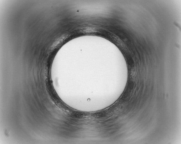 X0000098140732200805081019