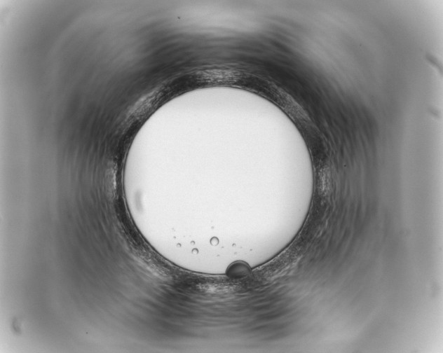 X0000098140733200805081019