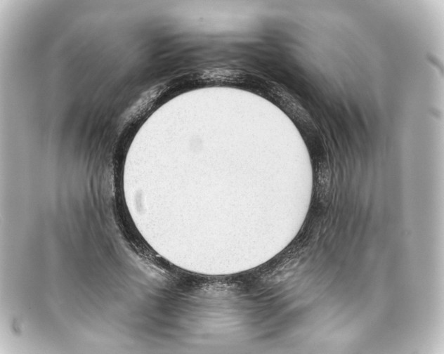 X0000098140734200805081019