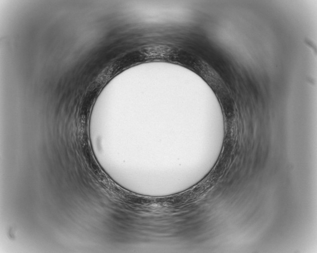 X0000098140737200805081019