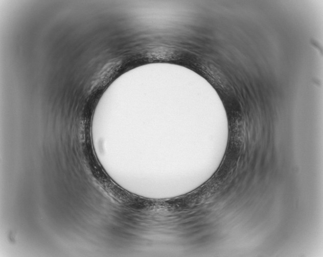 X0000098140738200805081019