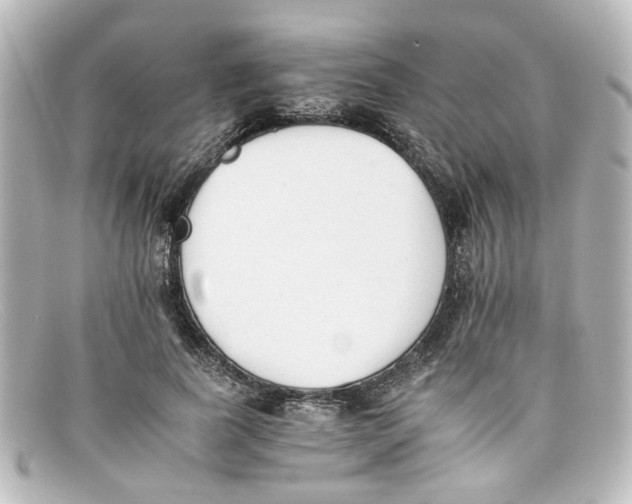 X0000098140739200805081019