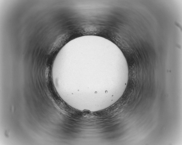 X0000098140742200805081019