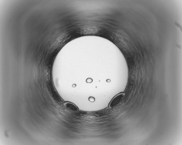 X0000098140743200805081020