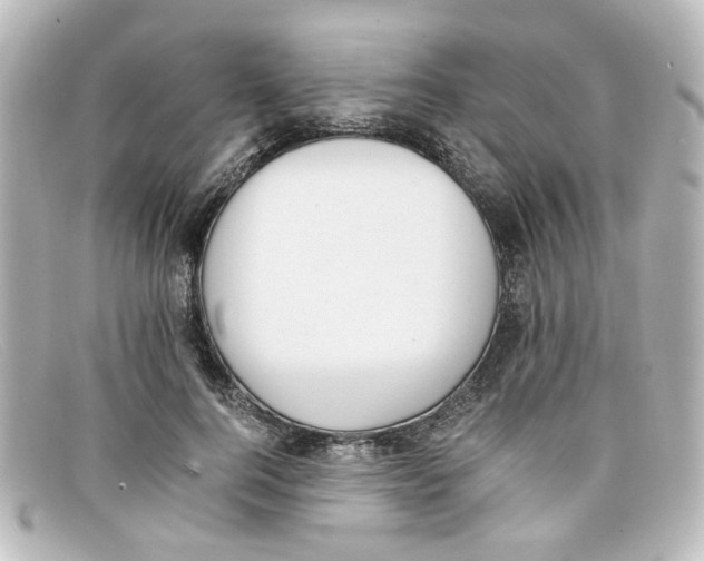 X0000098140744200805081020