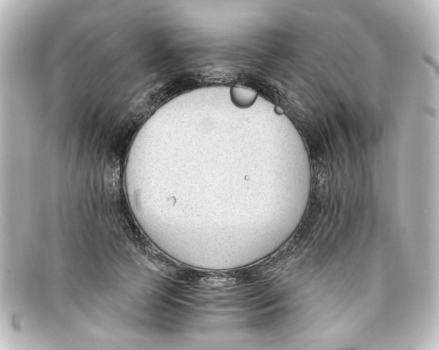 X0000098140745200805081020