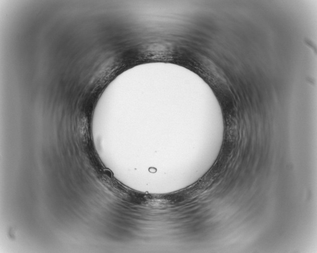 X0000098140748200805081020