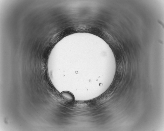 X0000098140749200805081020