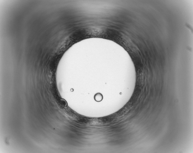 X0000098140750200805081020