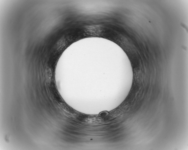 X0000098140752200805081020