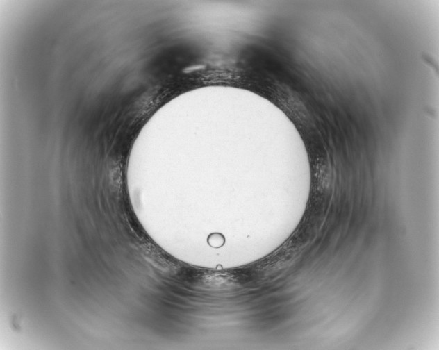 X0000098140753200805081020