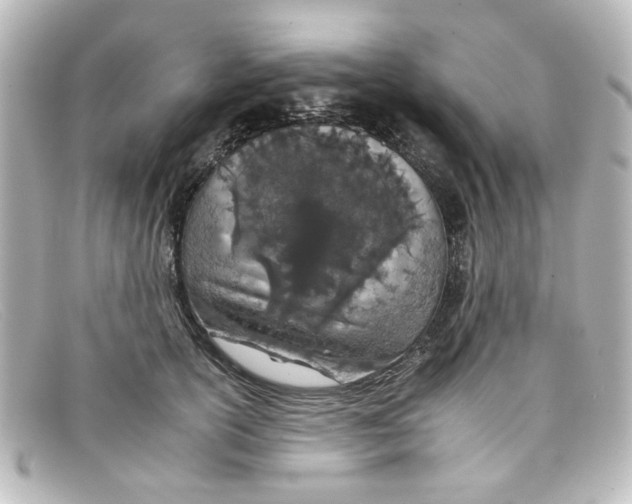 X0000098140754200805081020