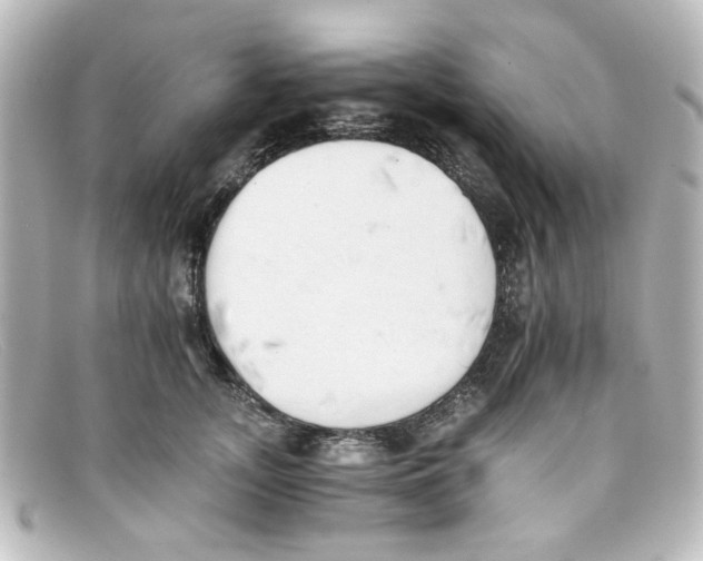 X0000098140755200805081020