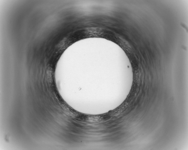 X0000098140757200805081020