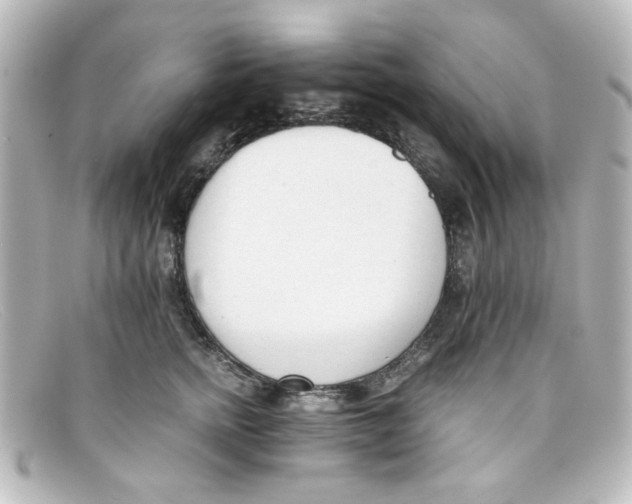 X0000098140758200805081020